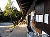 _7110269.jpg