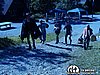 _7150945.jpg