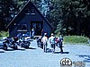 _7160338.jpg