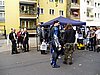 _9033298.JPG
