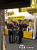 _9022004.JPG
