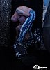_5020134.jpg