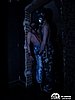 _5020183.jpg